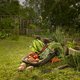 Moestuin? Déze groente- en fruitsoorten kun je beter niet naast elkaar planten