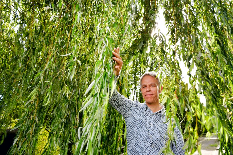 Geert Smid.  Beeld Olaf Kraak