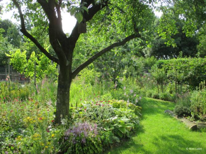 Infosessie over klimaattuin in BEN