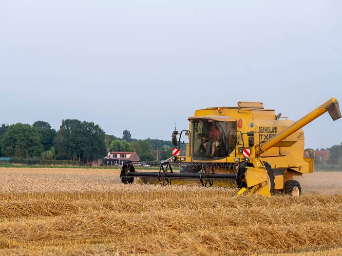 Gemeente verkoopt 39 landbouwgronden in Brakel en Geraardsbergen
