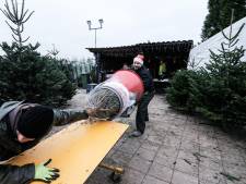 Crisis of geen crisis, in Zevenaar loopt de verkoop van kerstbomen als een speer