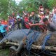 Gigantische 'killer croc' gevangen op Filipijnen