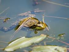 Kwaliteit van ons water moet prioriteit worden