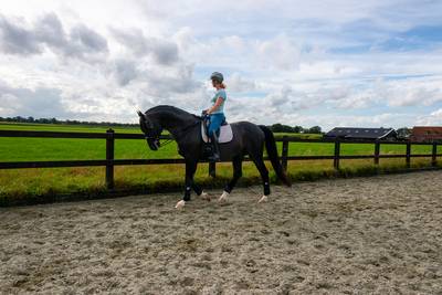 Nispense Emma vreest voor haar dressuurstal als nieuwe weg er komt