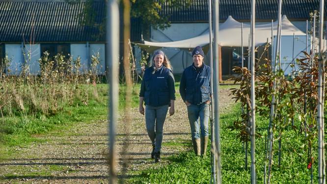 Sjef en Wilma van Dongen willen boeren helpen bij overgang naar duurzaam bedrijf: ‘Voedselbos als oplossing voor de stikstofcrisis’