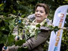 50.000 bomen verplaatst in provincie Utrecht, en er worden er 600.000 extra geplant