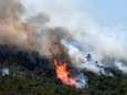 Le feu de forêt sur la Côte d’Azur “n’est pas encore maitrisé” 