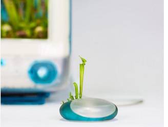 Van computer naar plantenpot: Monsieur Plant geeft je oude pc nieuw leven