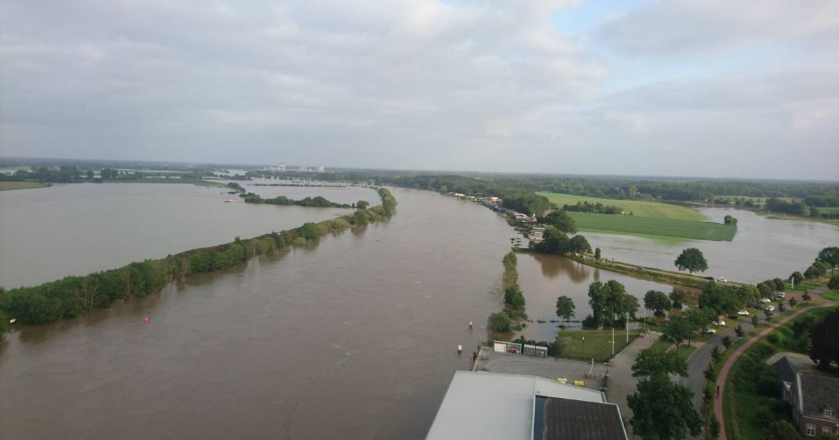 Veevoederbedrijf ziet de Maas stijgen maar kan niet veel doen: 'Dijk bouwen en kaarsje opsteken' - B