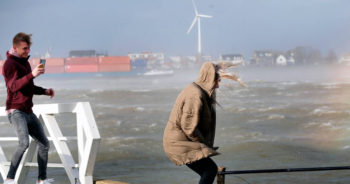 Terugkijken hoe storm Eunice door Rivierenland raasde Storm in