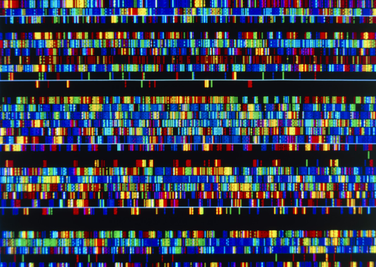 DNA-sequentie.  Beeld ANP / Science Photo Library