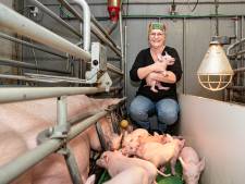 Boeren én milieuorganisaties rond Amersfoort op één lijn tegen stikstofplannen: ‘Wat is onze toekomst?’