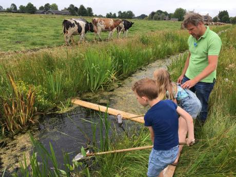 De wonderen van de onderwaterwereld leren kennen? Slootexpert worden in één dag, doe je hier!  