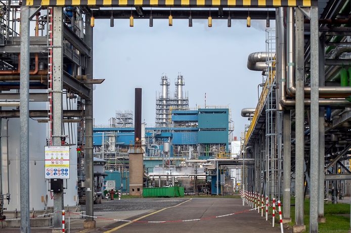 Sabic wil in Bergen op Zoom een biomassacentrale bouwen.