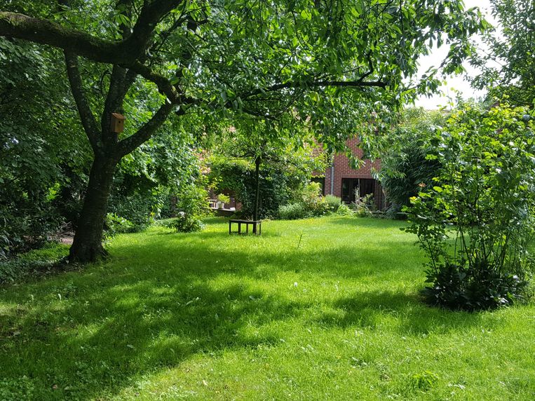 ambulance Raad piano Belg mag zijn bal straks zelf in de tuin van de buren zoeken, maar niet  iedereen is daar blij mee