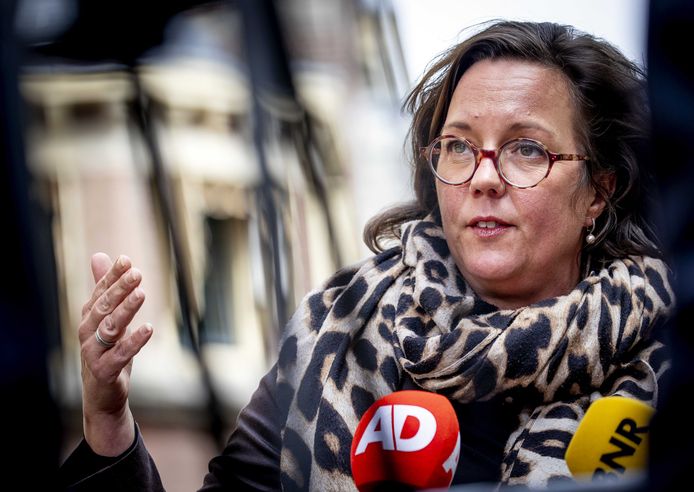 Tamara van Ark, demissionair minister voor Medische Zorg.