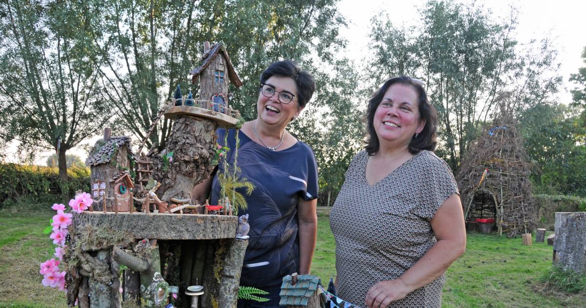 Elfjes veroveren het kabouterbos in Dreischor