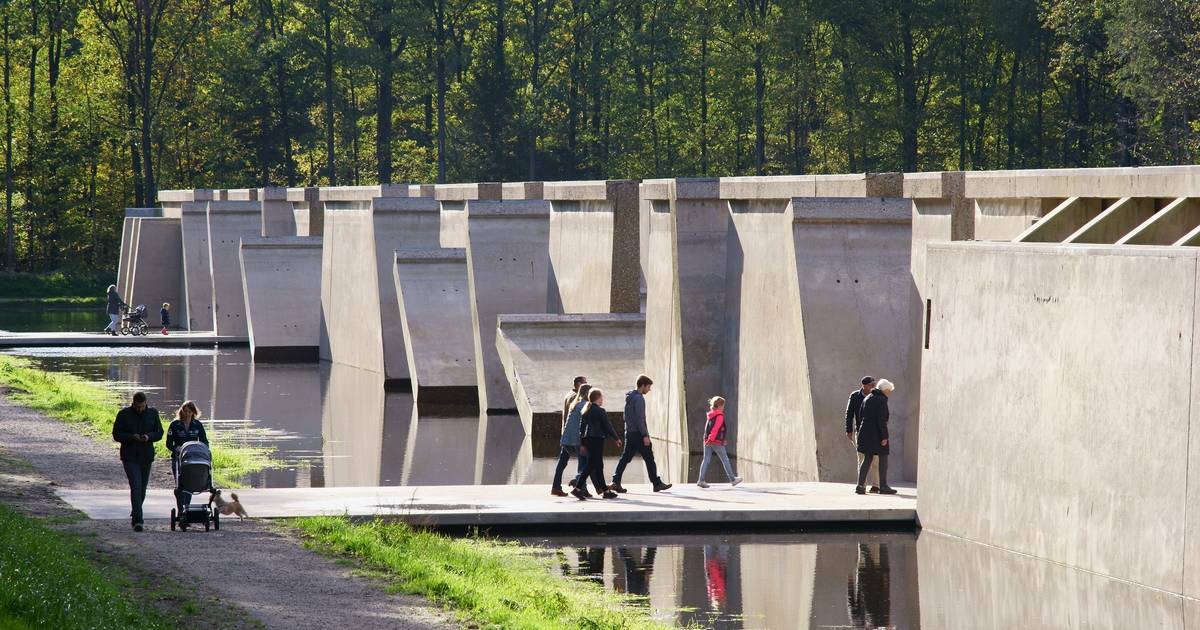 Automobilist moet straks betalen voor bezoek aan dit populaire en bijzondere bos