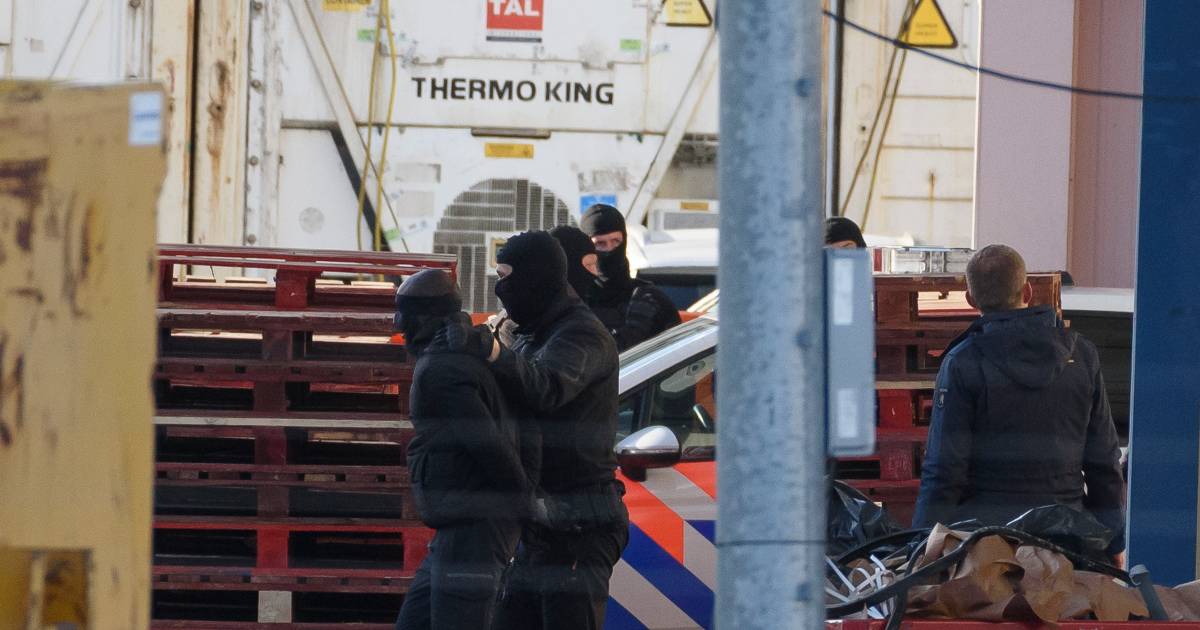 Vijf 'drugszoekers' opgepakt in haven van Vlissingen, politie lost schot - AD