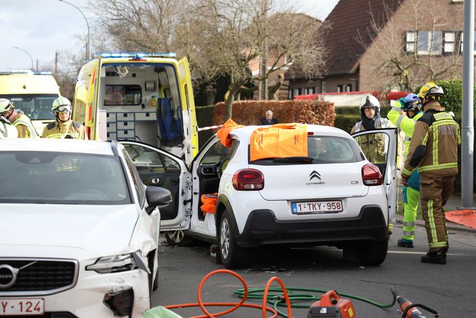 Het ongeval gebeurde op de Houtlaan in Brecht.