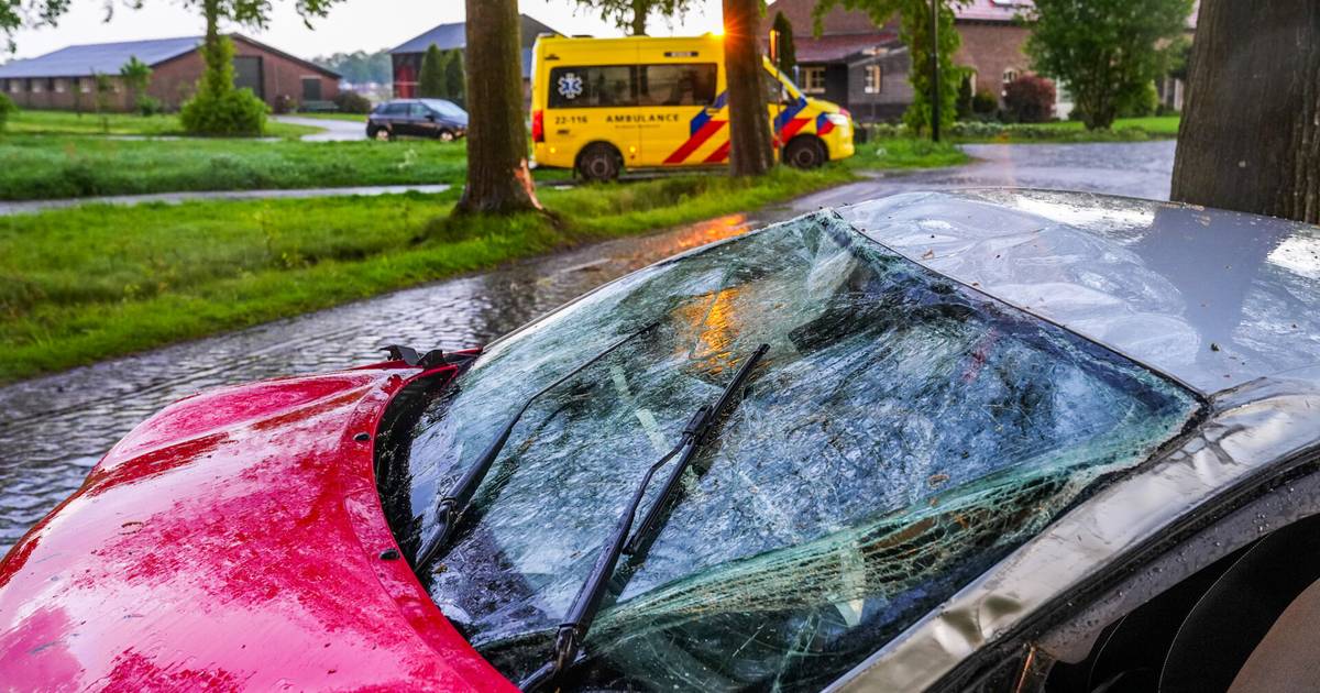 Auto rijdt met hoge snelheid tegen boom en vliegt over de kop: bestuurster en passagier raken gewond