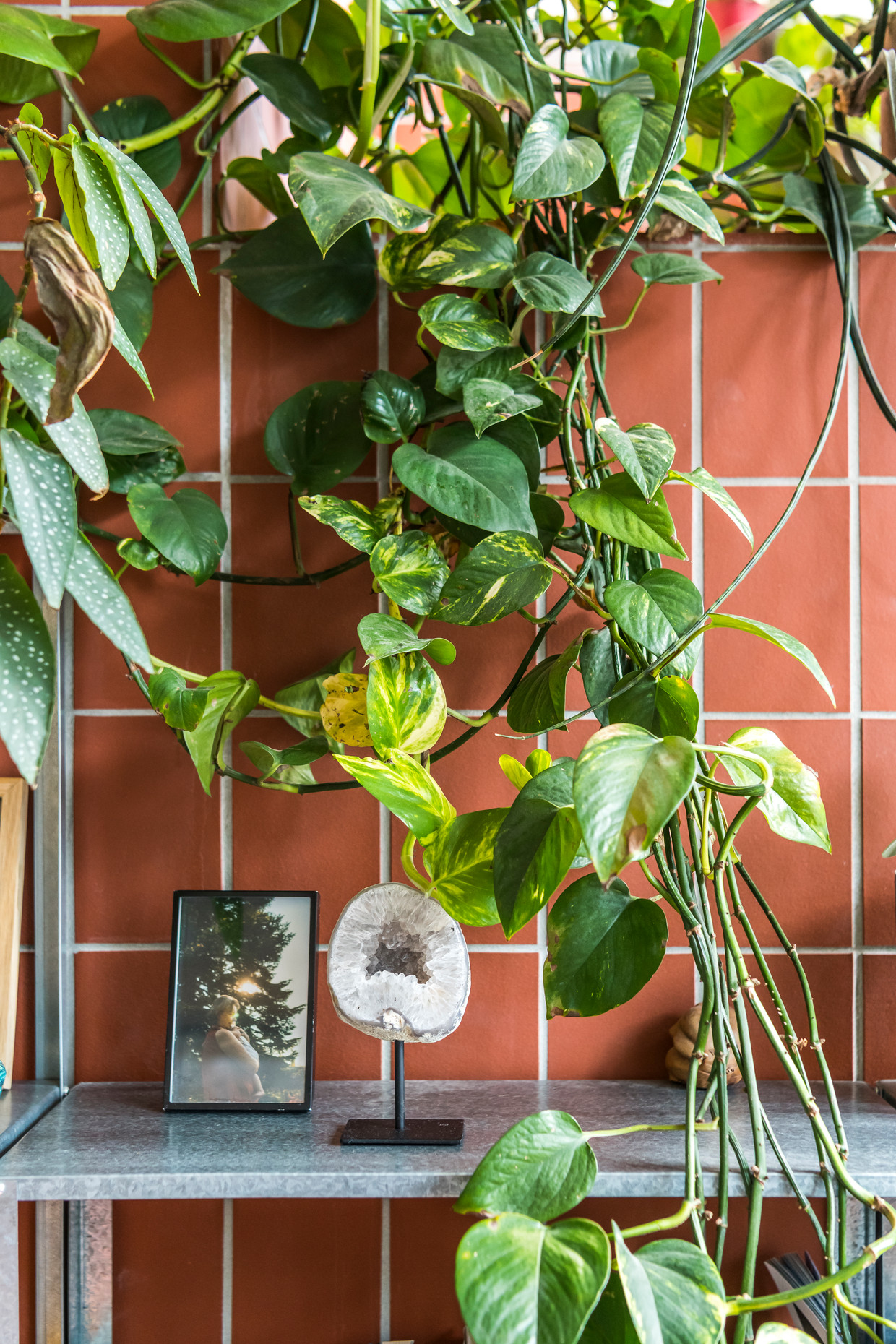 null Photo by Luke Roymans 