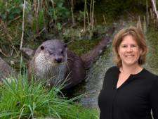 Loopplanken voor otters? Dat gaat wel heel ver