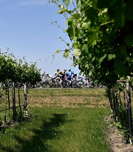 Alberto Dainese verrast topsprinters in elfde etappe Giro d’Italia