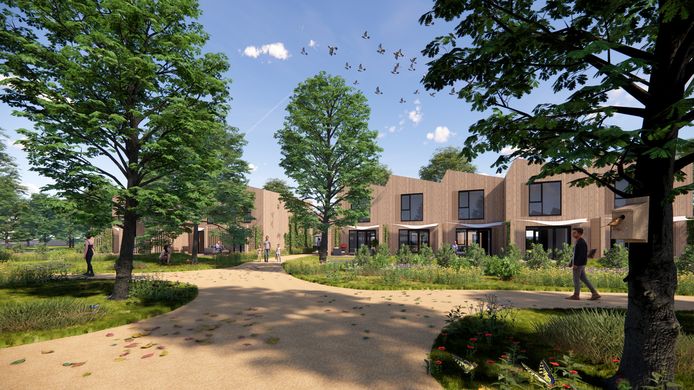 Zo zouden de tijdelijke woningen, die dit najaar in Hengelo gebouwd moeten worden, er volgens Welbions uit kunnen gaan zien.