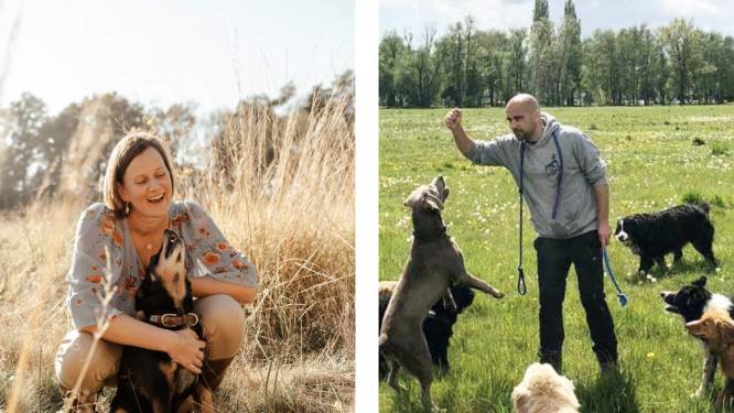 Steeds meer Belgen maken van ‘dogwalking’ hun beroep. “Ik krijg 40 euro per dag, per hond”