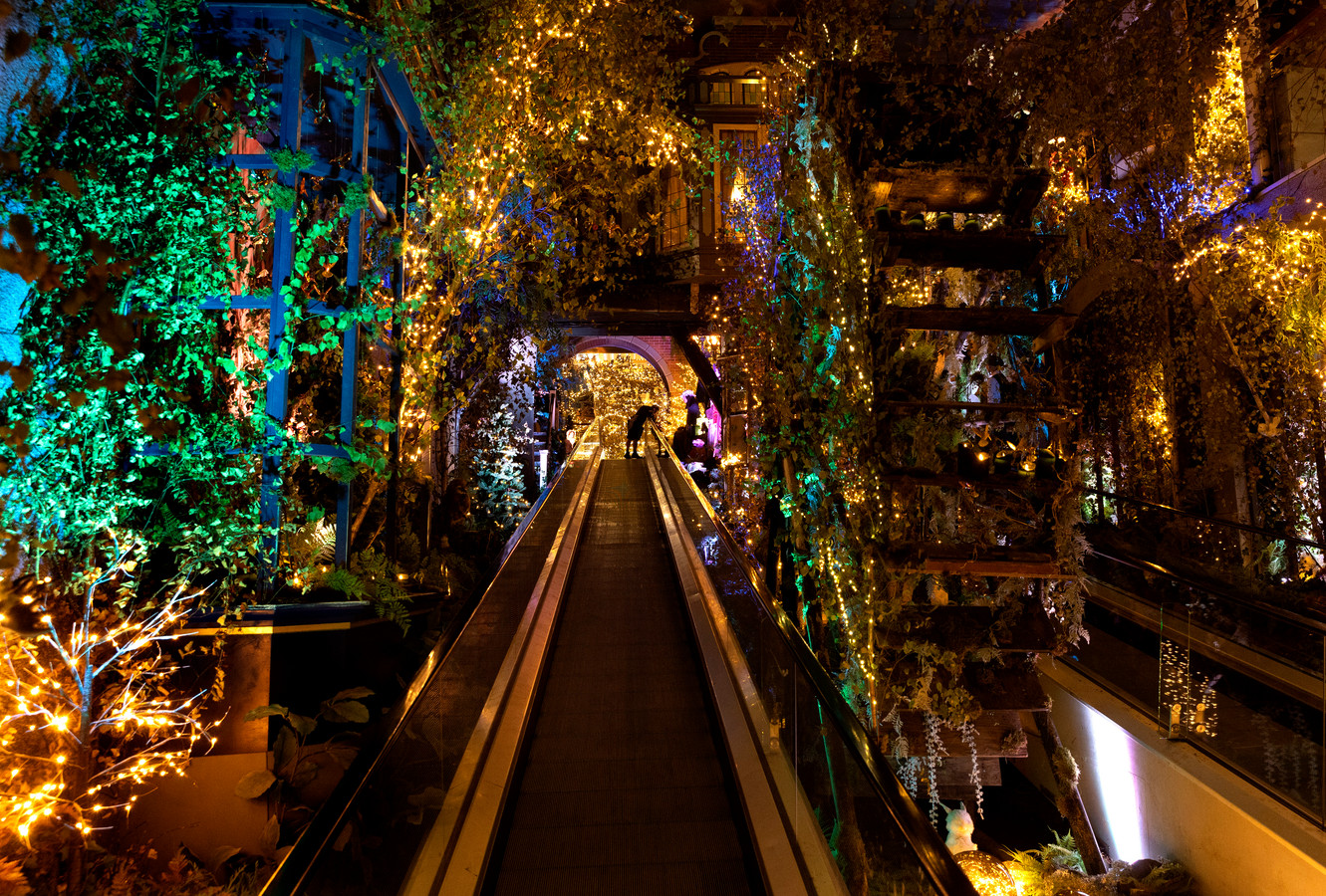 Sneak peak! Zo ziet kerstshow van Intratuin in Duiven eruit | Foto ...