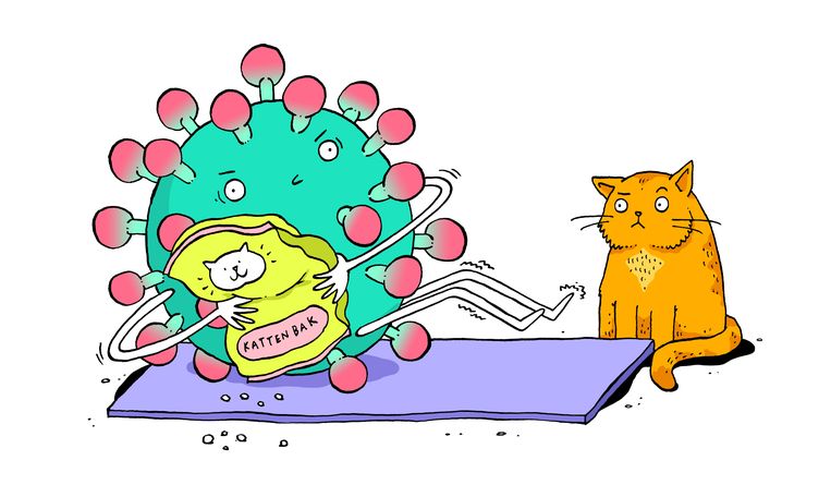 Speciaal fitnessmateriaal hoef je niet te kopen. Wie heeft een verzwaarde medicine ball nodig als je een zak kattenzand in huis hebt?  
 Beeld Sven Franzen
