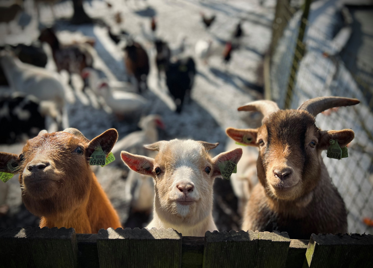 Bewoners Marina Beach vrezen sluiting vakantiepark ‘Zonder Peter
