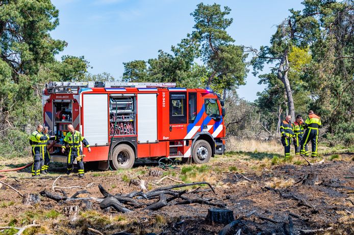 Brand in bossen bij Tilburg