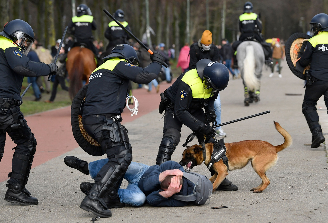 Agenten slaan op een demonstrant in tijdens het coronaprotest op het Malieveld van zondag. Beeld AFP