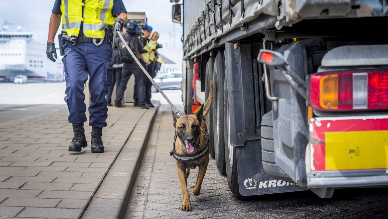 Controle door de marechaussee in Hoek van Holland, waar migranten proberen illegaal naar Groot-Brittannië te reizen. Beeld anp