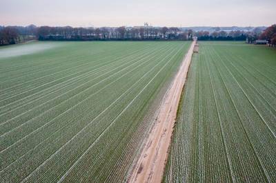 Putten krijgt zijn eerste zonnepark: ‘Dit is beter voor iedereen’