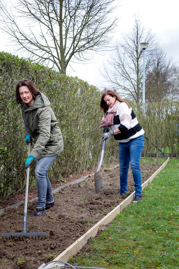 Of je nu een nieuwe hobby zoekt of het klimaat een handje wilt helpen door groenten en fruit van eigen kweek te eten: een moestuin is sowieso een goed idee. Bij onze journaliste staken tijdgebrek en uitstelgedrag al te lang een stokje in de wielen, tot nú. Tuinexperte Laurence Machiels staat ons bij met dit stappenplan.