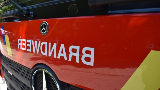 Composthoop vat vuur nadat bewoner er brandende kolen in gooit 