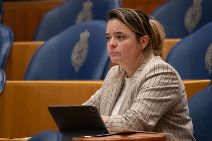 Eline Vedder (CDA) is helemaal niet blij met het wegvallen van de directe lijn tussen Enschede en Schiphol.