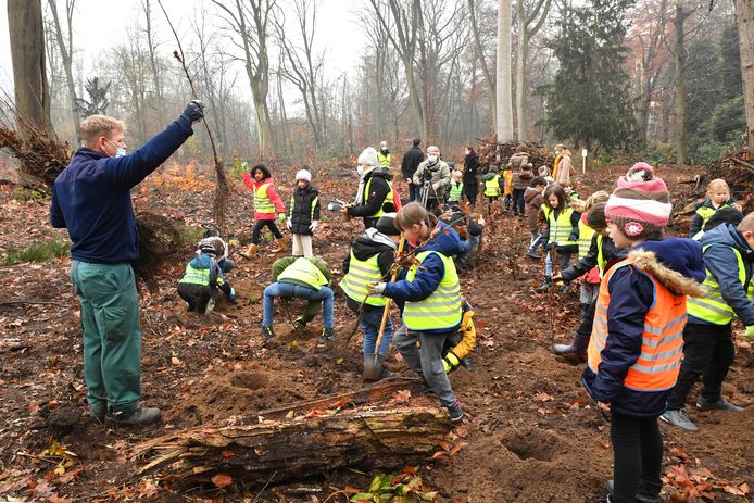 Vijftig leerlingen uit de drie verschillende basisscholen van de gemeente Wijnegem trotseerden vandaag de koude om 500 inheemse bomen in het park te planten.