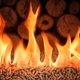 Vanuit een ecologisch en gezondheidsperspectief zijn pellets waanzin