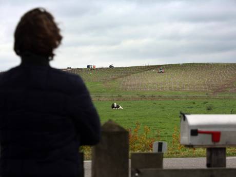 Bewoners Bavelse Berg zijn het beu: ‘Het is een tsunami van glas’