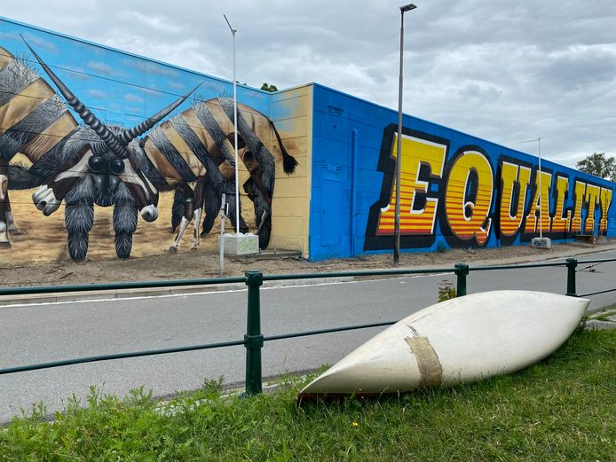 Links het nieuwste werk van straatkunstenaar Cee Pil aan de Franse Vaart: twee vechtende oryxen, vervlochten met een gigantische spin.