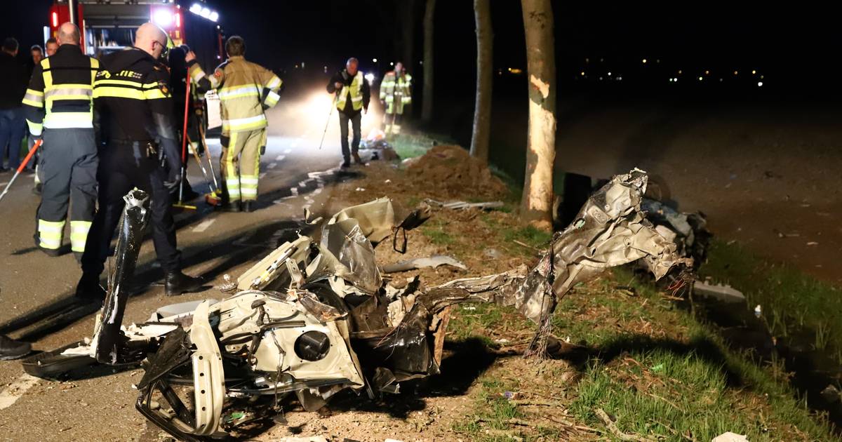 Auto na botsing tegen bomen in twee delen gebroken, bestuurder ongedeerd.