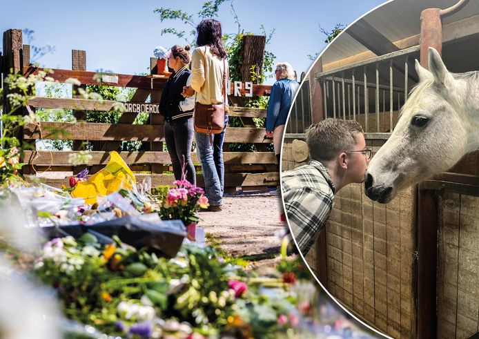 Roan (rechts) heeft veel baat bij paardentherapie: ‘Als hij bij de paarden is, kruipt uit zijn schulp en verandert de blik op zijn gezicht’