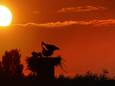 Zonsondergang tijdens de langste dag van het jaar.