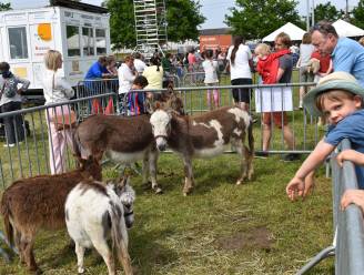 Pluizige boerderijdieren doen harten smelten op Veekijkdag