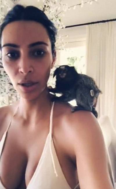 Zussen Kardashian op het matje geroepen door apenopvang Almere