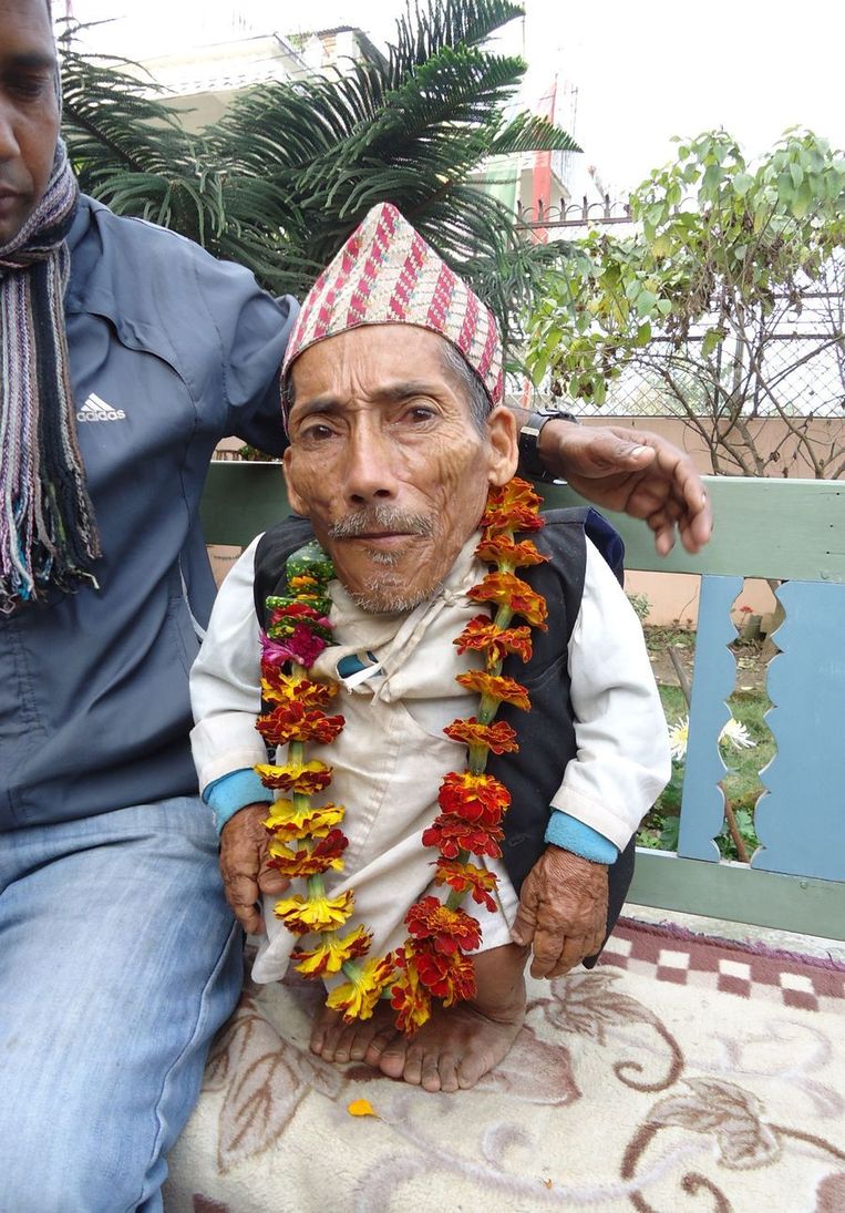 Chandra Bahadur Dangi uit Nepal, 56 cm lang en mogelijk 's werelds kleinste man. Beeld afp